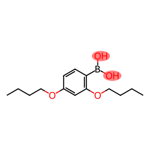 (2,4-dibutyloxyphenyl)boronic acid