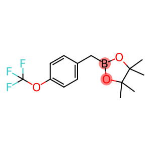1,3,2-Dioxaborolane, 4,4,5,5-tetramethyl-2-[[4-(trifluoromethoxy)phenyl]methyl]-