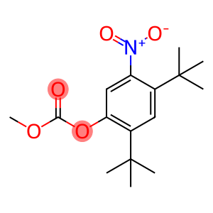 Carbonic acid 2,4-bis(1,1-dimethylethyl)-5-nitrophenyl methyl ester