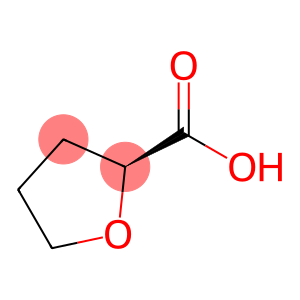 (S)-(-)-TETRAHYDRO-2-FURANCARBOXYLIC ACID