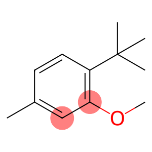 1-(1,1-Dimethylethyl)-2-methoxy-4-methylbenzene