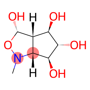 1H-Cyclopent[c]isoxazole-3,4,5,6-tetrol, hexahydro-1-methyl-, [3S-(3α,3aβ,4β,5α,6β,6aβ)]- (9CI)