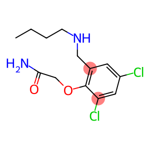 2-{2-[(butylamino)methyl]-4,6-dichlorophenoxy}acetamide