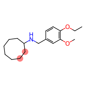 N-(4-ETHOXY-3-METHOXYBENZYL)CYCLOOCTANAMINE