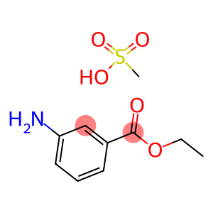 乙基3-氨基苯甲酸酯甲烷磺酸盐