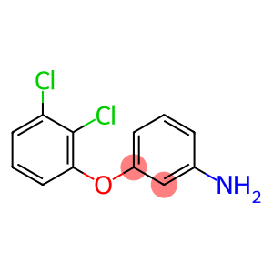 3-(2,3-DICHLORO-PHENOXY)-PHENYLAMINE