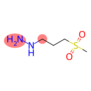 (3-(Methylsulfonyl)propyl)hydrazine