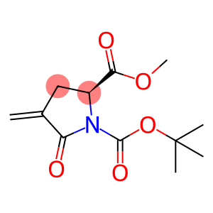 1,2-Pyrrolidinedicarboxylic acid, 4-methylene-5-oxo-, 1-(1,1-dimethylethyl) 2-methyl ester, (2S)-