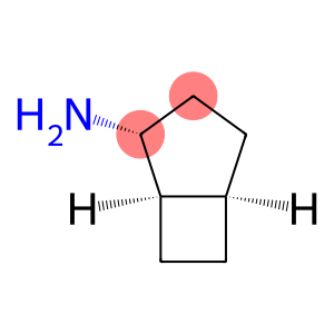 Bicyclo[3.2.0]heptan-2-amine, (1-alpha-,2-alpha-,5-alpha-)- (9CI)