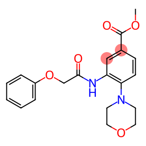 methyl 4-(4-morpholinyl)-3-[(phenoxyacetyl)amino]benzoate