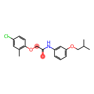 2-(4-chloro-2-methylphenoxy)-N-(3-isobutoxyphenyl)acetamide