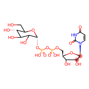 Uridine 5'-Diphospho-α-D-glucose-13C6 DiaMMoniuM Salt