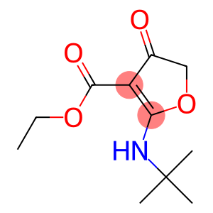 3-Furancarboxylic  acid,  2-[(1,1-dimethylethyl)amino]-4,5-dihydro-4-oxo-,  ethyl  ester