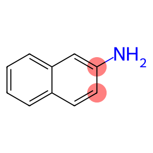 萘-2-胺