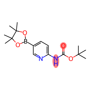 2-(N-Boc-amino)pyridine-5-boronic acid pinacol ester