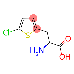 (2s)-2-Amino-3-(5-Chloro(2-Thienyl))Propanoic Acid