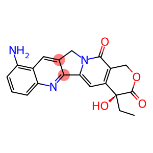 9-AMINOCAMPTOTHECIN 9-氨基喜树碱