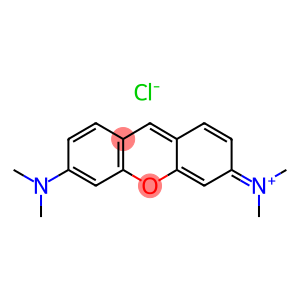 Pyronin Y (CI x  45005)