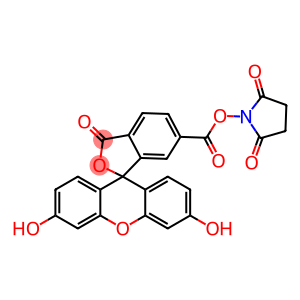 4-{[(2,5-dioxopyrrolidin-1-yl)oxy]carbonyl}-2-(6-hydroxy-3-oxo-3H-xanthen-9-yl)benzoic acid