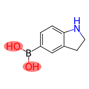 Boronic acid, B-(2,3-dihydro-1H-indol-5-yl)-