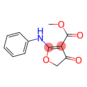 3-Furancarboxylic  acid,  4,5-dihydro-4-oxo-2-(phenylamino)-,  methyl  ester