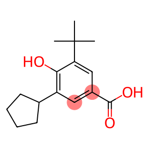 3-cyclopentyl-5-tert-butyl-4-hydroxybenzoic acid