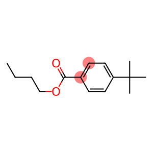 p-tert-Butylbenzoic acid butyl ester