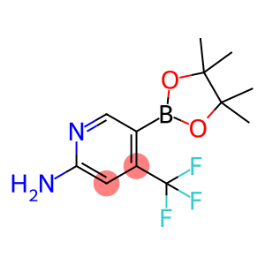 5-(4,4,5,5-tetramethyl-1,3,2-dioxaborolan-2-yl)-4-(trifluoromethyl)-2-Pyridinamine