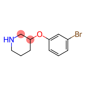 3-(3-BroMophenoxy)piperidine HCl