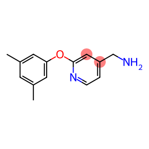 (2-(3,5-二甲基苯氧基)吡啶-4-基)甲胺