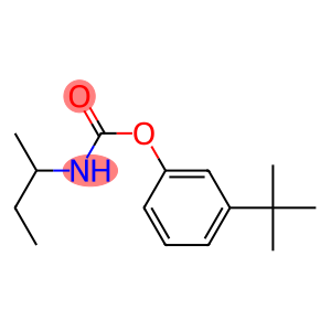 (3-tert-butylphenyl) N-butan-2-ylcarbamate