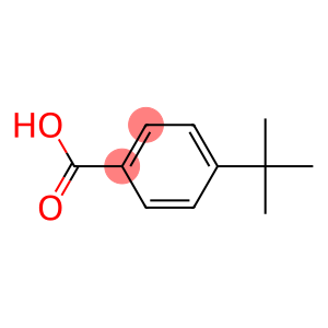 Para-tert butyl benzoic acid