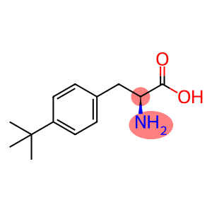 2-amino-3-(4-tert-butylphenyl)propanoicaci