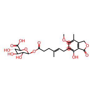 Mycophenolic Acid Acyl-b-D-glucuronide