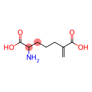 2-amino-6-methylenepimelic acid