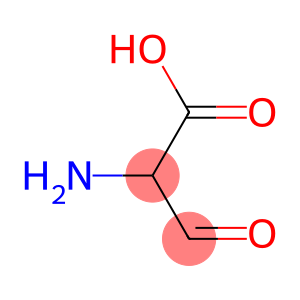 2-amino-3-oxopropionic acid
