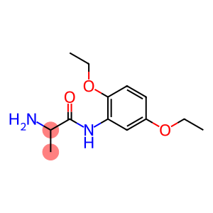 2-amino-N-(2,5-diethoxyphenyl)propanamide