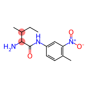 2-amino-3-methyl-N-(4-methyl-3-nitrophenyl)pentanamide