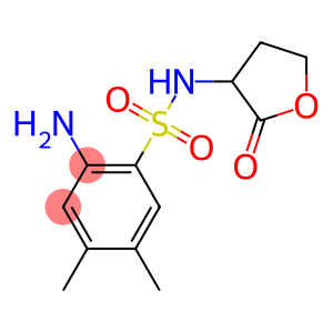 2-amino-4,5-dimethyl-N-(2-oxooxolan-3-yl)benzene-1-sulfonamide