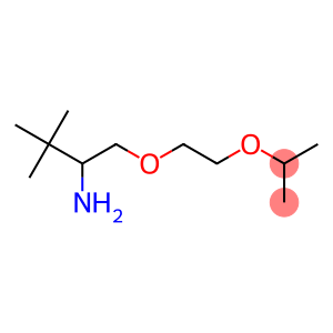 2-[2-(2-amino-3,3-dimethylbutoxy)ethoxy]propane