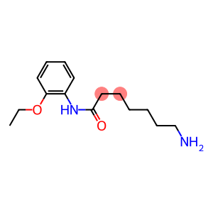 7-amino-N-(2-ethoxyphenyl)heptanamide