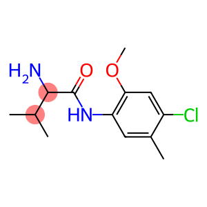 2-amino-N-(4-chloro-2-methoxy-5-methylphenyl)-3-methylbutanamide