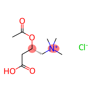 D-乙酰肉碱氯化物