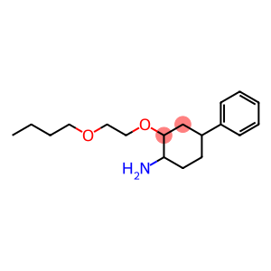 2-(2-butoxyethoxy)-4-phenylcyclohexan-1-amine