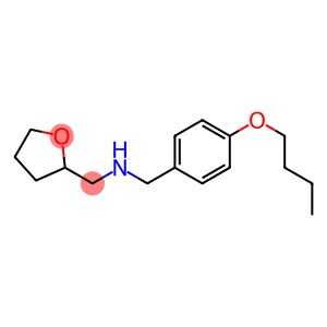 [(4-butoxyphenyl)methyl](oxolan-2-ylmethyl)amine