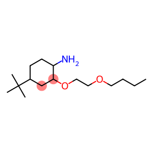 2-(2-butoxyethoxy)-4-tert-butylcyclohexan-1-amine