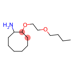 2-(2-butoxyethoxy)cyclooctan-1-amine
