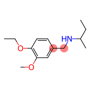 butan-2-yl[(4-ethoxy-3-methoxyphenyl)methyl]amine