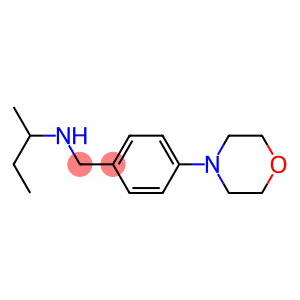 butan-2-yl({[4-(morpholin-4-yl)phenyl]methyl})amine