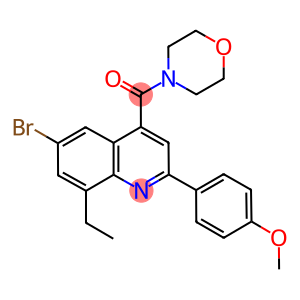 4-[6-bromo-8-ethyl-4-(4-morpholinylcarbonyl)-2-quinolinyl]phenyl methyl ether